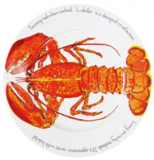 https://mcdougalls.shop/wp-content/uploads/product/360875.jpg