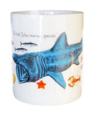 https://mcdougalls.shop/wp-content/uploads/product/360891.jpg