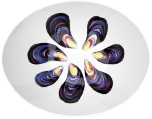 https://mcdougalls.shop/wp-content/uploads/product/360898.jpg